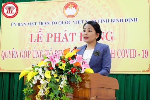 Ban Thường trực Ủy ban Mặt trận Tổ quốc Việt Nam cấp tỉnh,