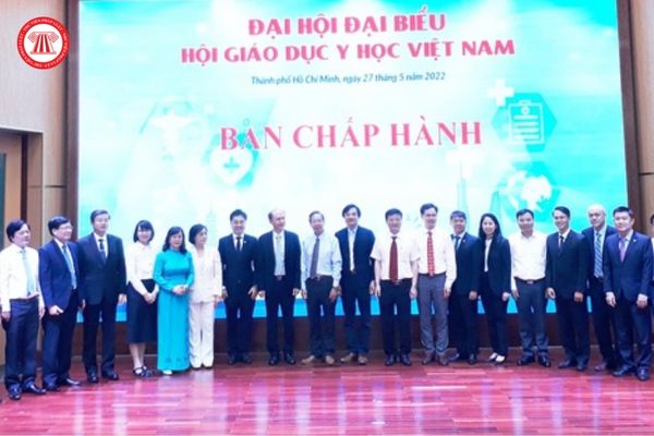 Hội Giáo dục y học Việt Nam 