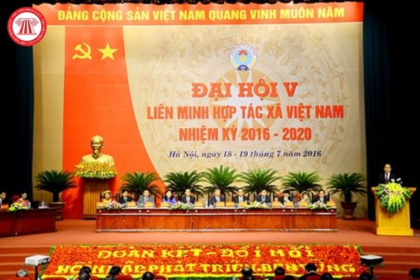 Liên minh Hợp tác xã Việt Nam 