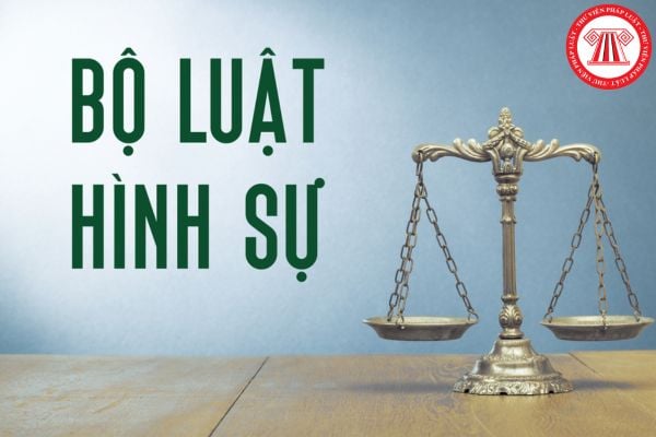 Pháp luật