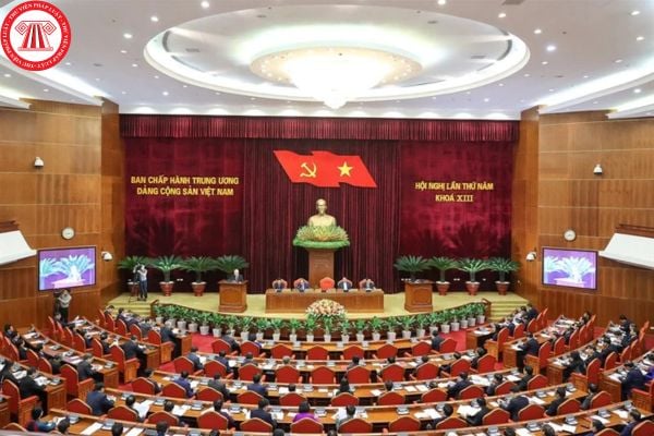 Pháp luật