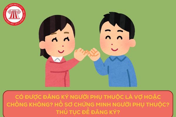 Pháp luật