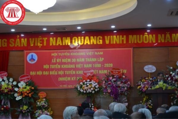 Hội tuyển khoáng