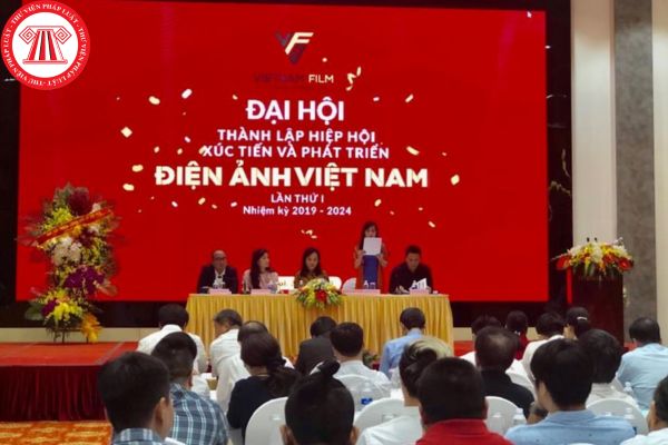 hội điện ảnh Việt Nam