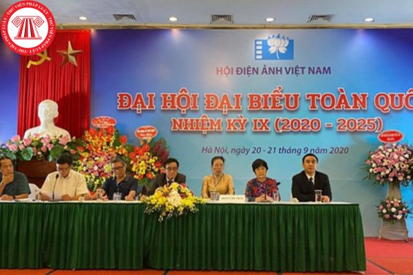 Hội điện ảnh Việt Nam