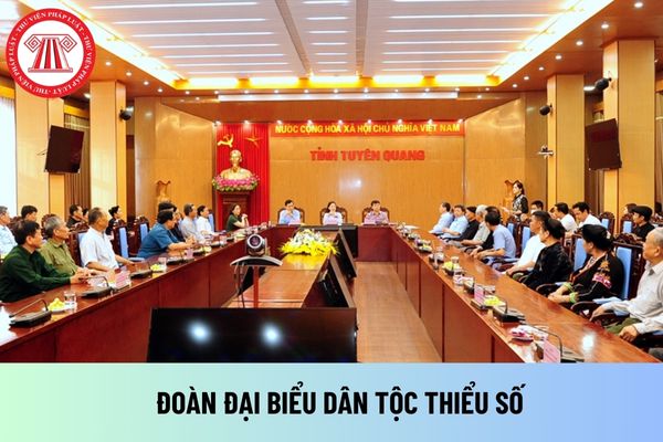 Đoàn đại biểu dân tộc thiểu số