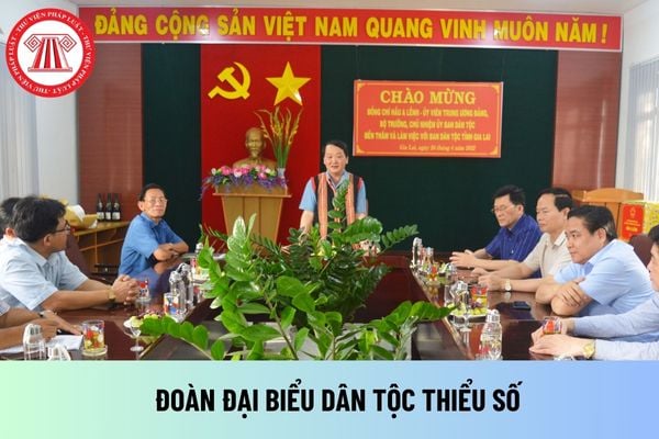 Đoàn đại biểu dân tộc thiểu số