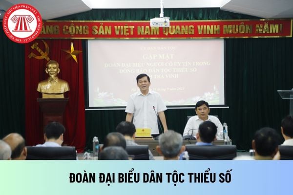 đoàn đại biểu