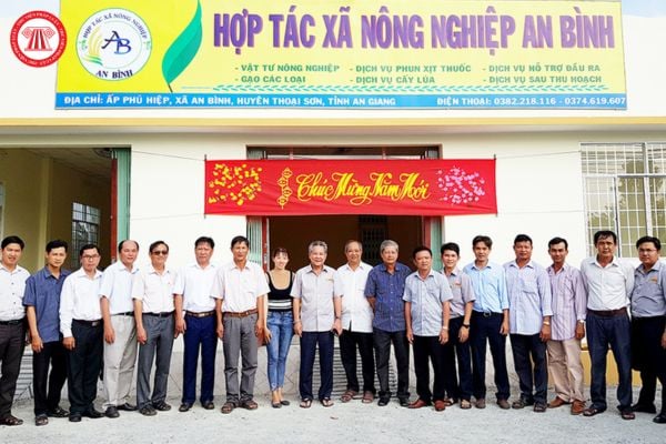 Hợp tác xã nông nghiệp