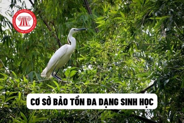 cơ sở bảo tồn đa dạng sinh học