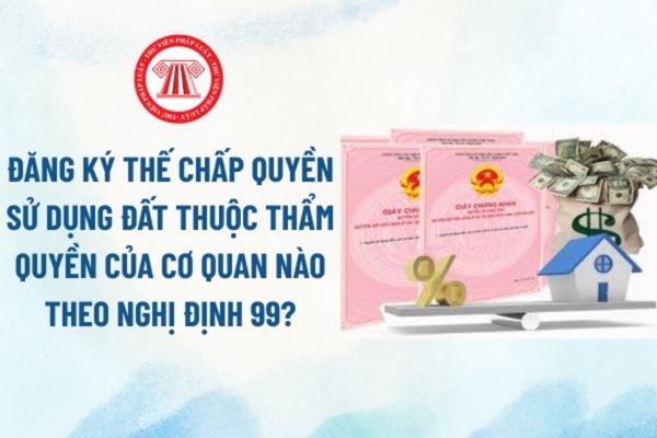 Pháp luật