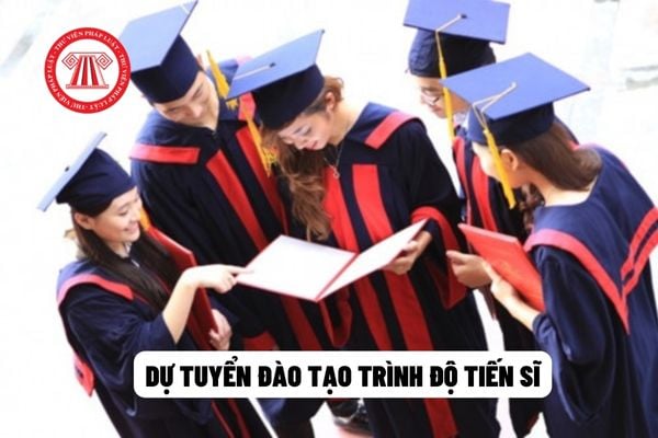 dự tuyển đào tạo trình độ tiến sĩ