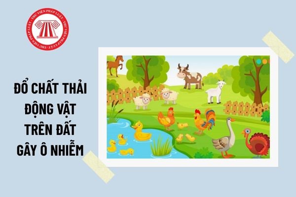 Pháp luật