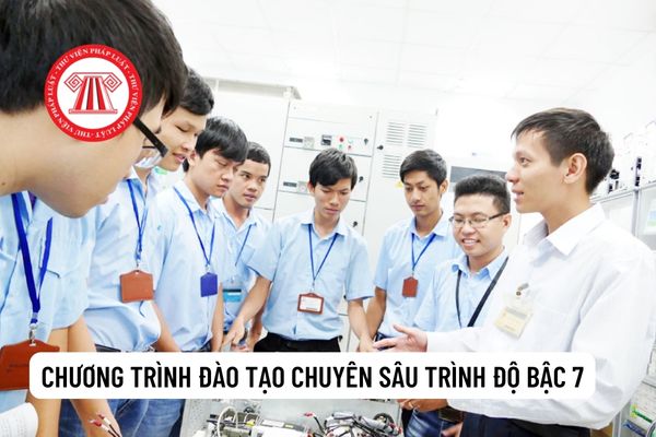 Chương trình đào tạo chuyên sâu đặc thù trình độ bậc 7