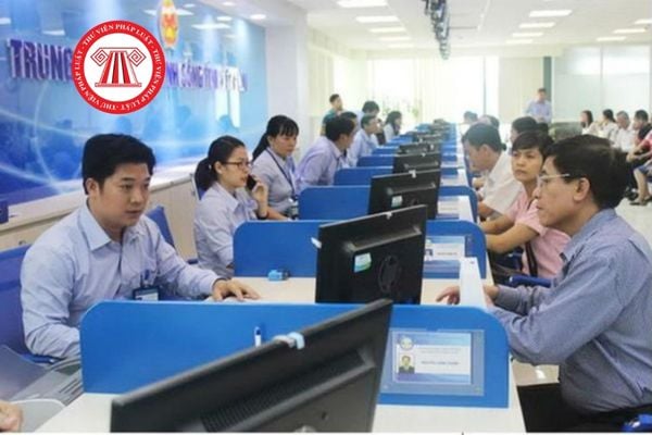 Pháp luật