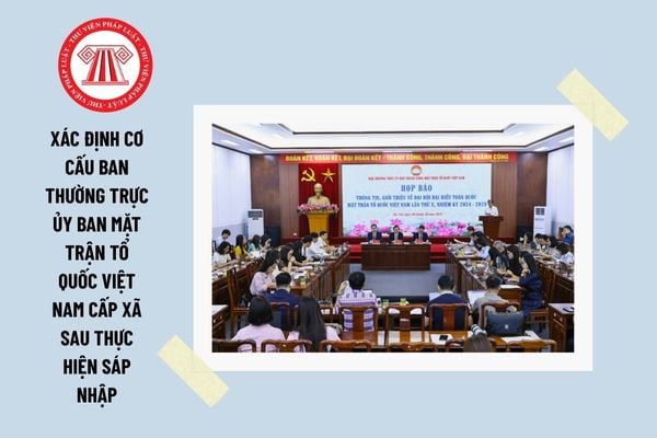 Pháp luật