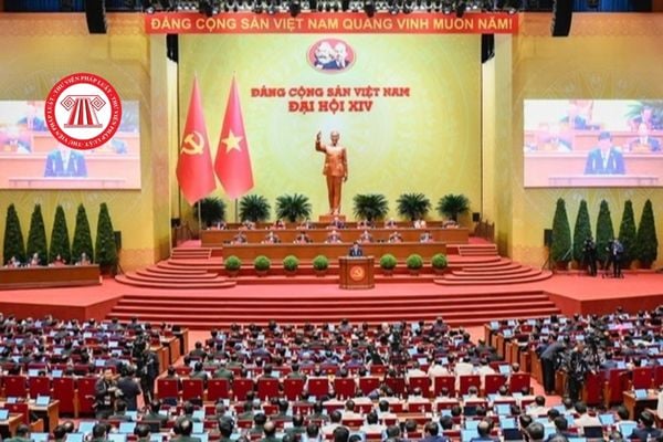 Pháp luật