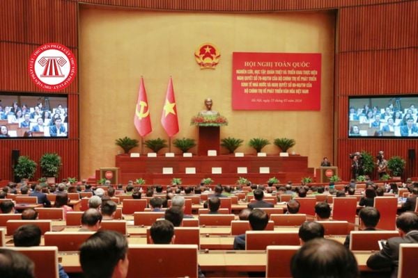 Pháp luật