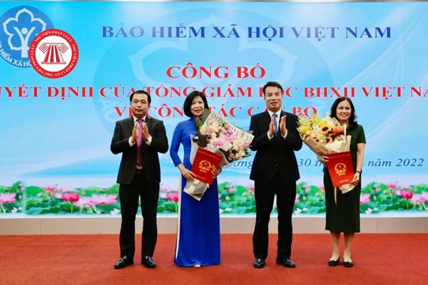 Để được tham gia thi tuyển chức danh Phó Giám đốc Bảo hiểm xã hội tỉnh, công chức cần đáp ứng những điều kiện gì?