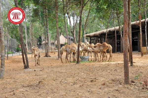 vườn thú vn