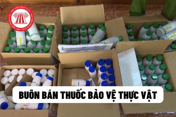  buôn bán thuốc bảo vệ thực vật