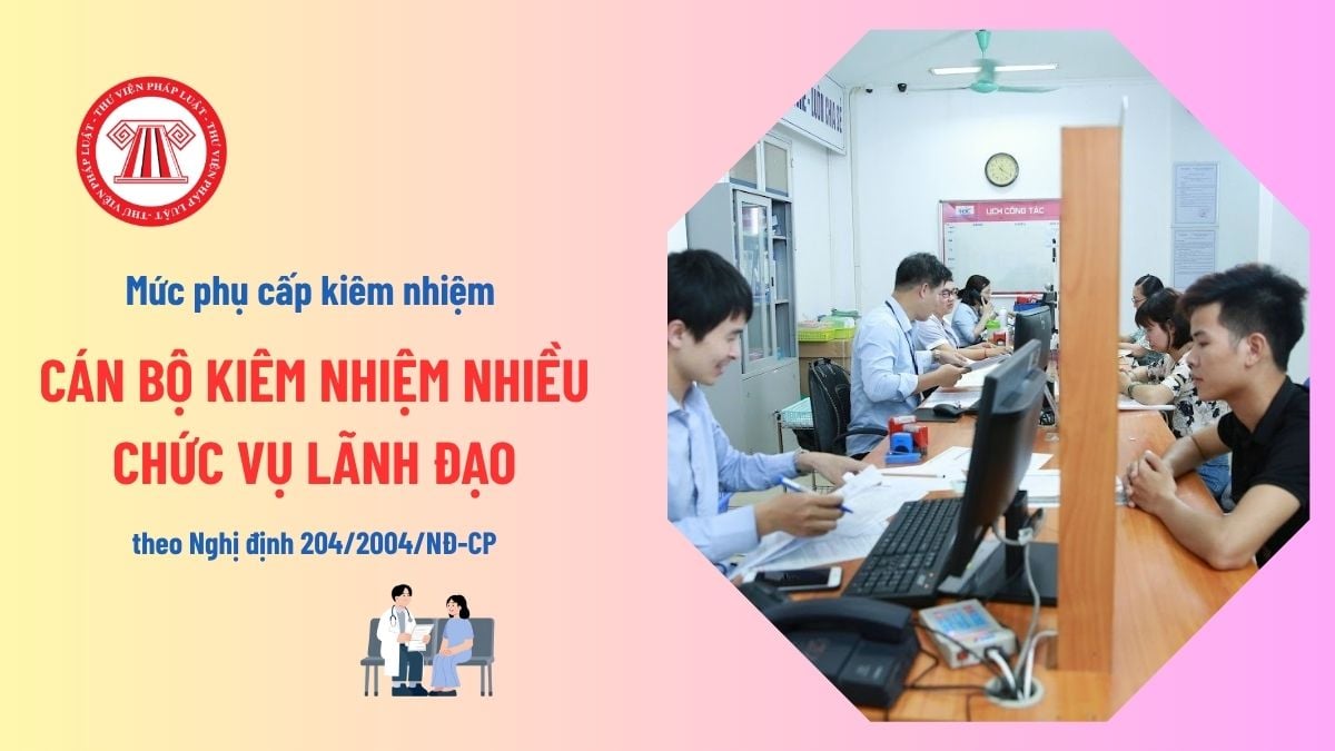 Pháp luật