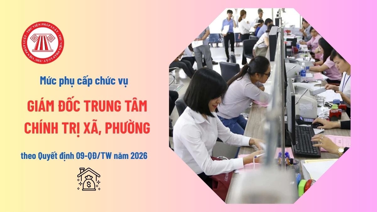 Pháp luật