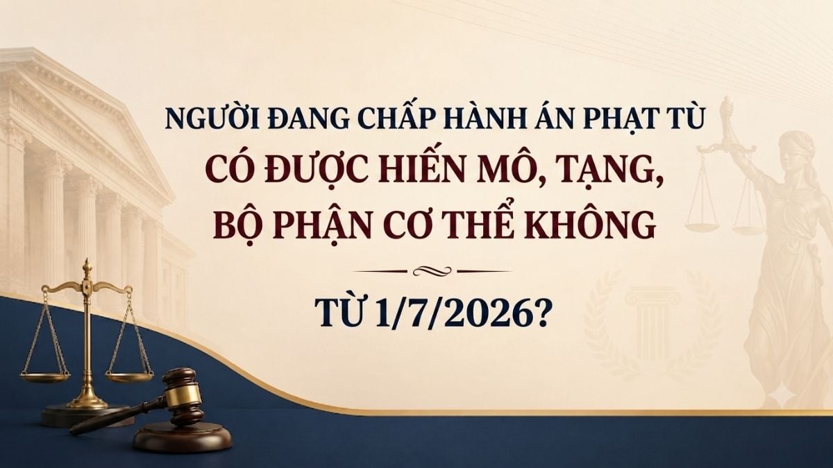 Pháp luật