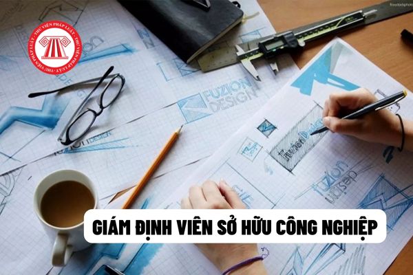 Hoạt động chuyên môn bao lâu để được cấp Thẻ giám định viên sở hữu công nghiệp?