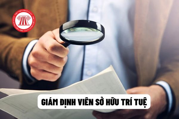 Giám định viên sở hữu trí tuệ 