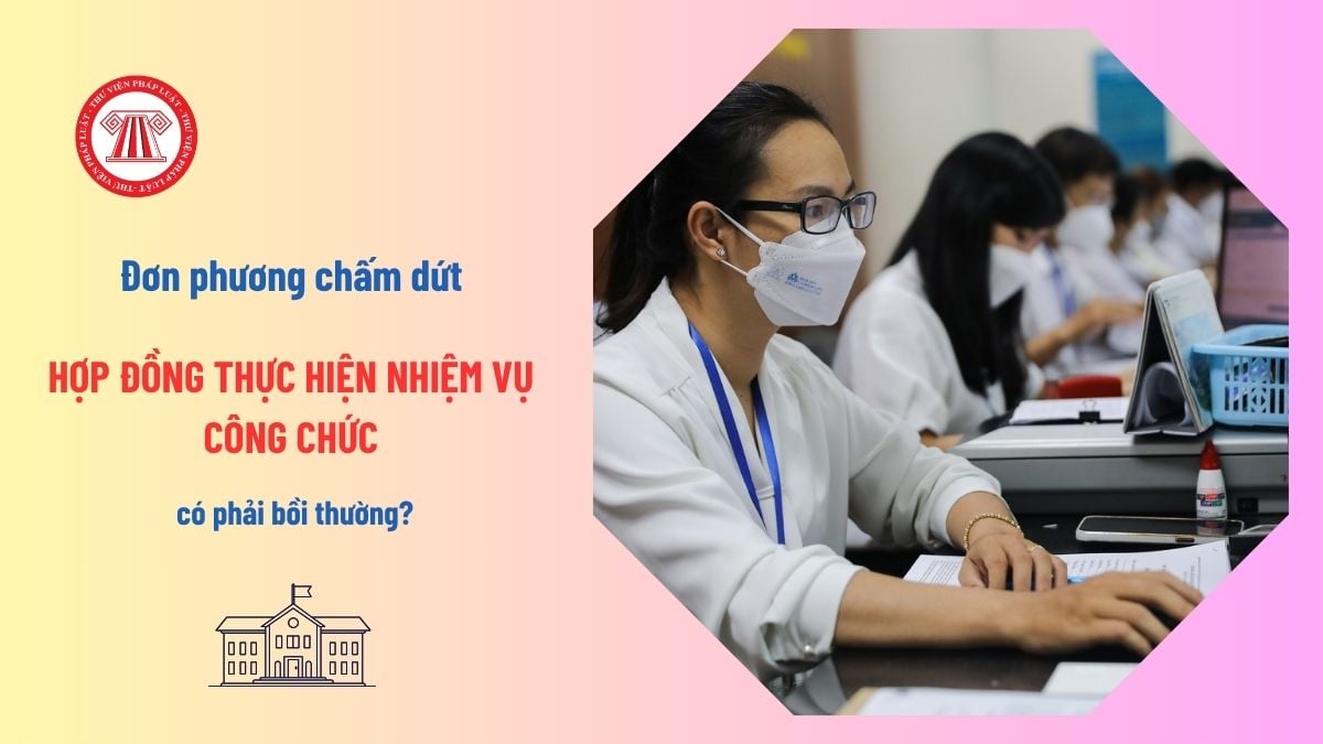 Pháp luật