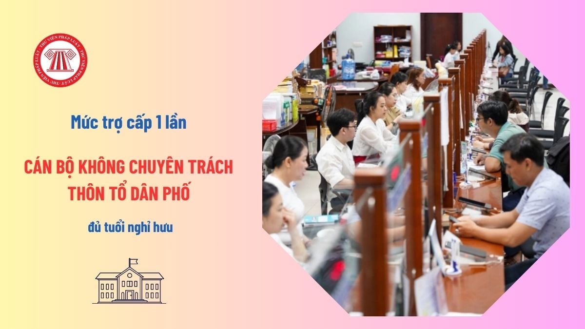Pháp luật
