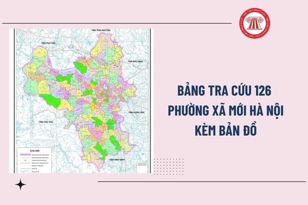 Pháp luật