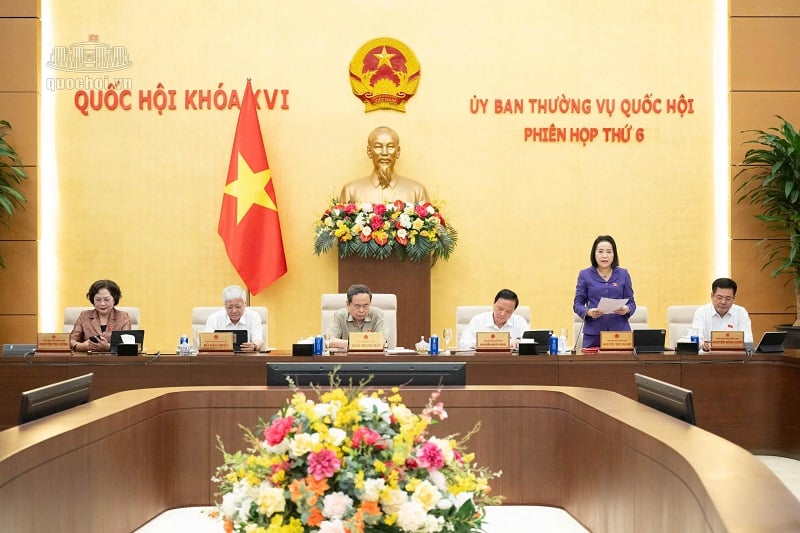 Pháp luật