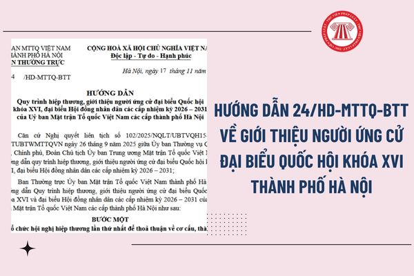 Pháp luật