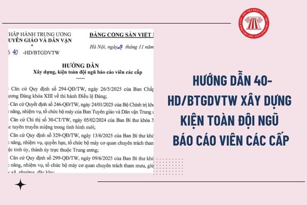 Pháp luật