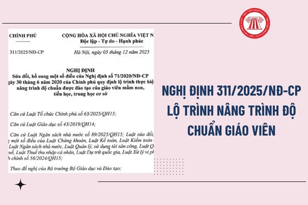 Pháp luật