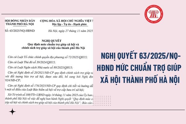 Pháp luật