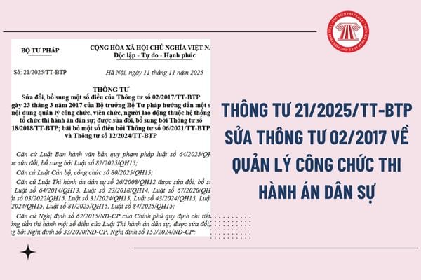 Pháp luật