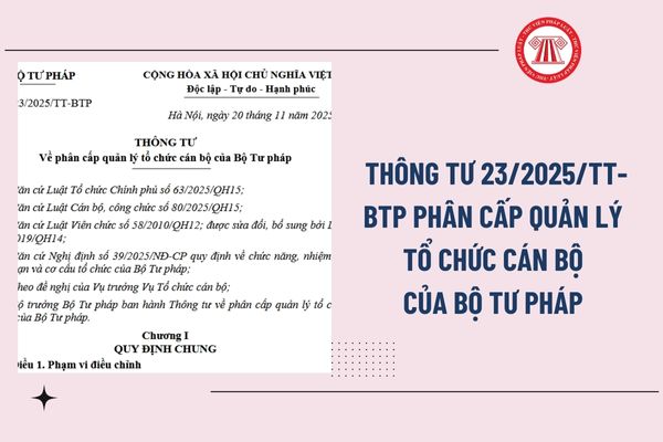 Pháp luật