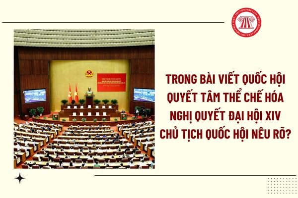 Pháp luật