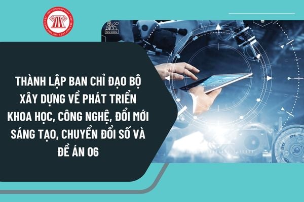 Pháp luật