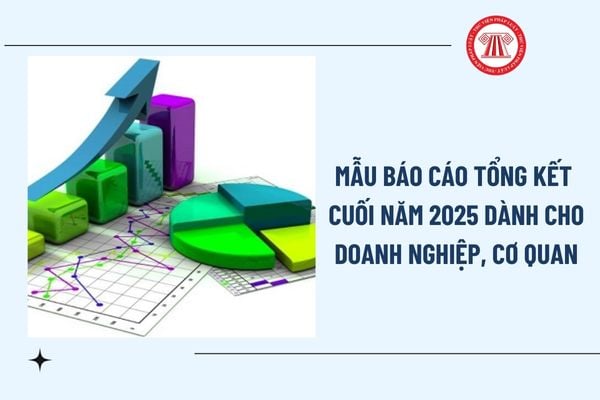 Mẫu báo cáo tổng kết cuối năm 2025 dành cho doanh nghiệp, cơ quan ra sao? Tải mẫu báo cáo tổng kết cuối năm?