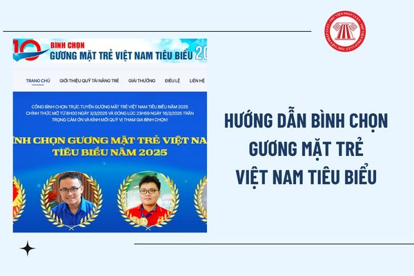 Pháp luật