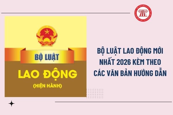 Pháp luật