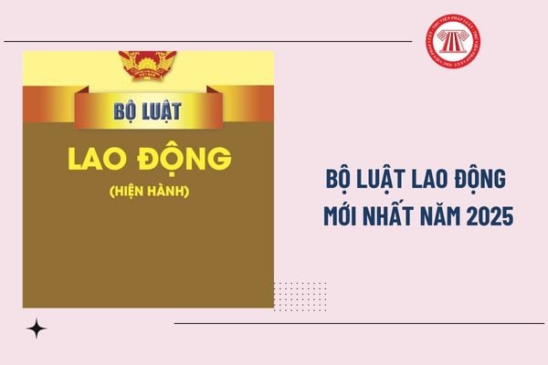 Pháp luật