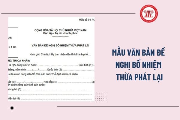 Pháp luật