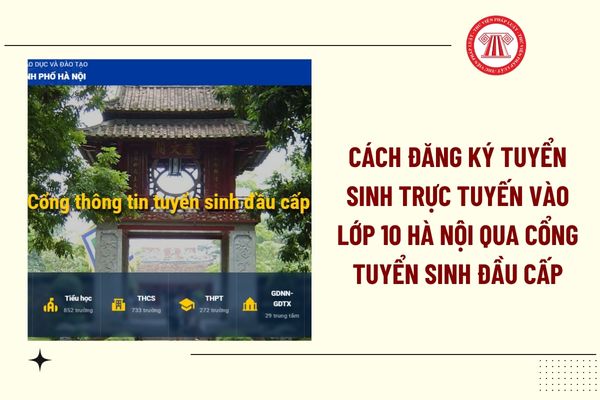 Pháp luật
