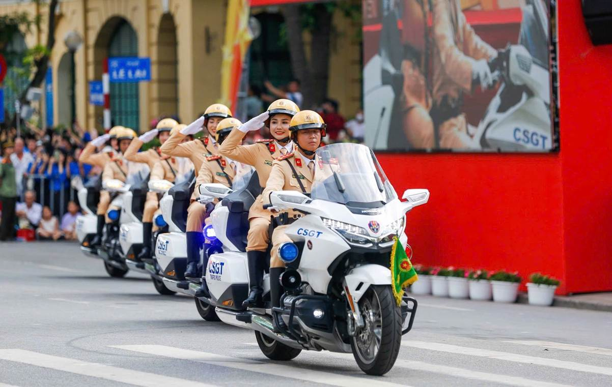 Pháp luật