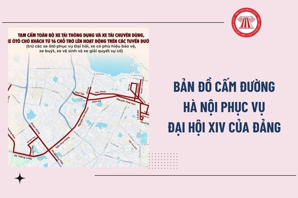 Pháp luật
